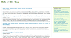 Desktop Screenshot of helsendin.org
